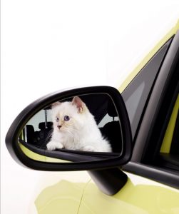 Opel Corsa Lagerfeld