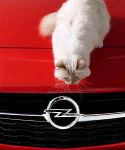 Opel Corsa Lagerfeld