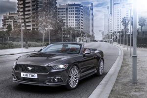 FordMustang_Dingo_2015_04
