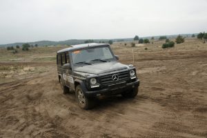 SONY DSC