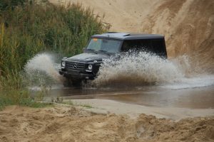IMG_7353 (1)