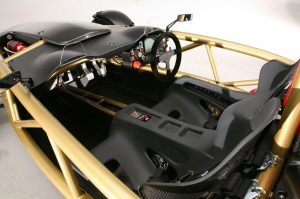 AAV8_09