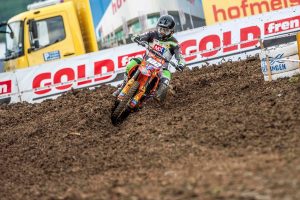 Šikyňa_Holzgerlingen_2016_01